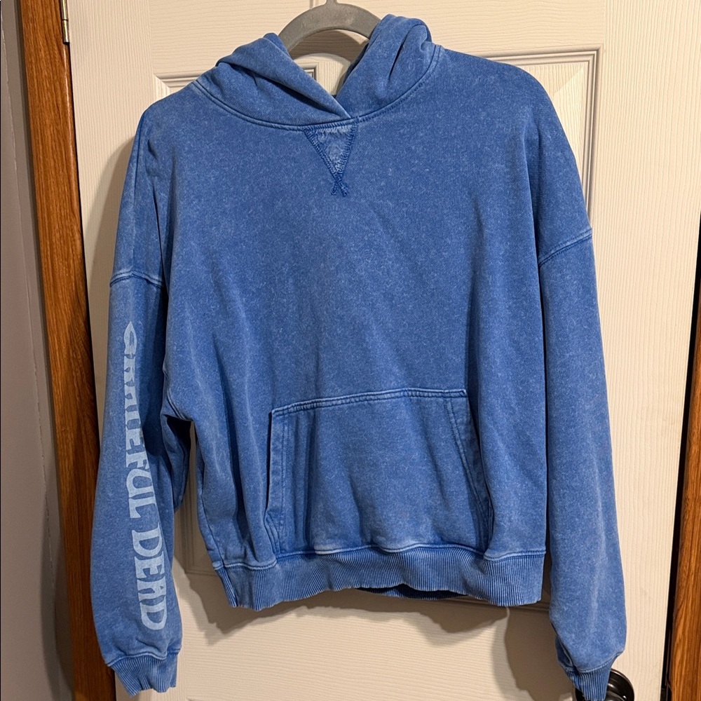American Eagle Outfitters Blue Lived-In Hoodie